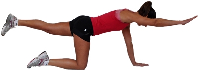 Preventing Low Back Pain …..the Core of the Matter.